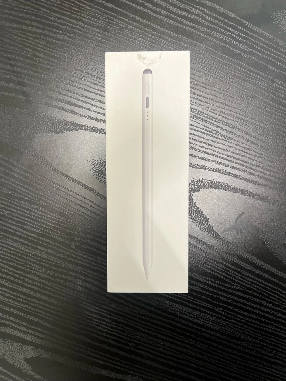 Apple iPad in Silver with Apple Pencil